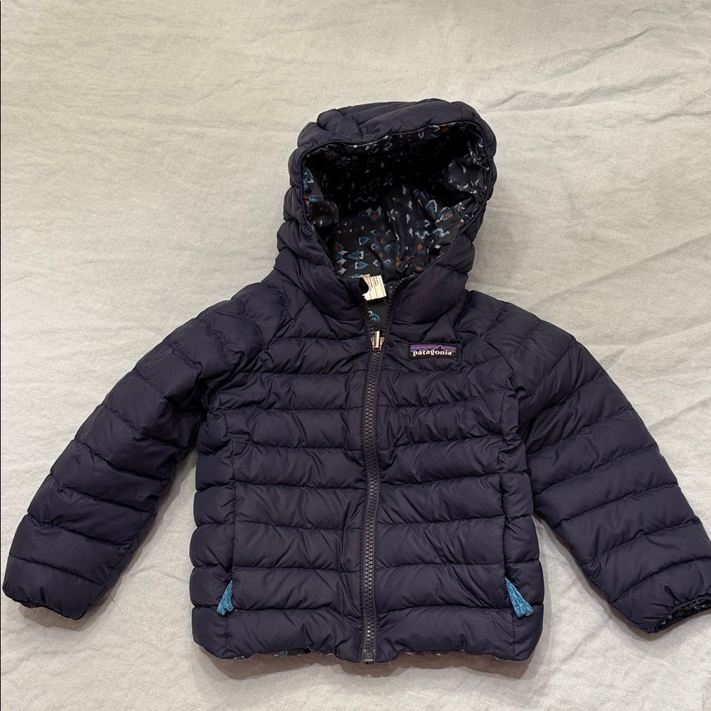Patagonia Kids Reversible Down Sweater Hoody